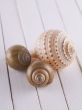 Shells