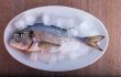 Bream