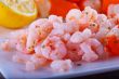 Shrimps