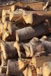 Firewood