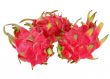 dragon fruits isolated on white background