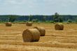 Haystack on field