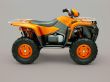 Quad bike
