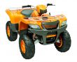 Quad bike isolated