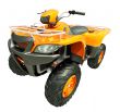 Quad bike isolated
