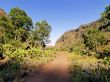 Guayadeque Gully