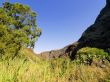 Guayadeque Gully
