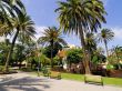 Park with palm trees.