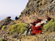 Car Wreckage