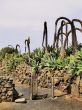 Agricola El Patio Museum, Tiagua, Lanzarote