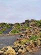 Vineyard, Tiagua, Lanzarote