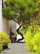 Agricola El Patio Museum, Tiagua, Lanzarote