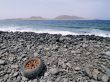 Graciosa Island