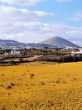 Lanzarote, Canary Islands