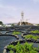 Monumento al Campesino, Lanzarote