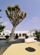 Tinajo, Lanzarote, Canary Islands, Spain