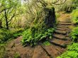 Anaga, Tenerife