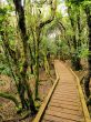 Anaga, Tenerife