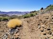Teide National Park