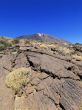 Teide National Park