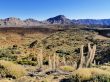 Teide National Park