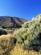 Teide National Park