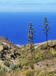 Tenerife