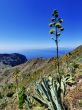 Tenerife