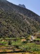 Alojera on Gomera