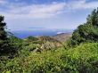 Alojera on Gomera