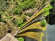 Garajonay National Park