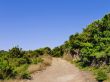Garajonay National Park