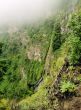 Garajonay National Park