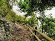 Garajonay National Park