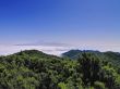 View from Mount of Garajonay on Gomera