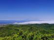 View from Mount of Garajonay on Gomera