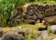 Hermigua on Gomera