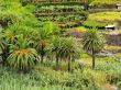 Hermigua on Gomera