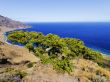 Playas, Hierro Island