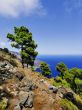  Playas, Hierro Island