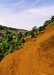 Orange Soil, El Hierro