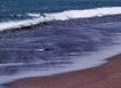 Playa del Verodal on Hierro