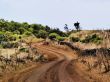 Road on Hierro