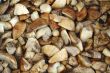 Prepared for cooking mushrooms.