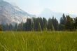 Yosemite Valley