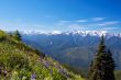 Hurricane Ridge