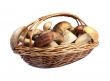 Mushrooms in a wicker basket on a white background.