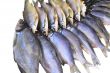 Salted and dried river fish on a white background.