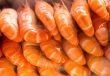 cooked prawns
