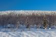 Winter landscape